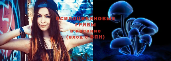 соль курить ск Верхний Тагил